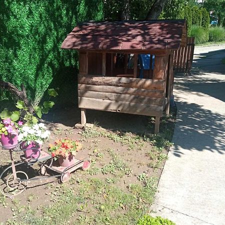 Villa Tera Nova Vrdnik Exterior foto