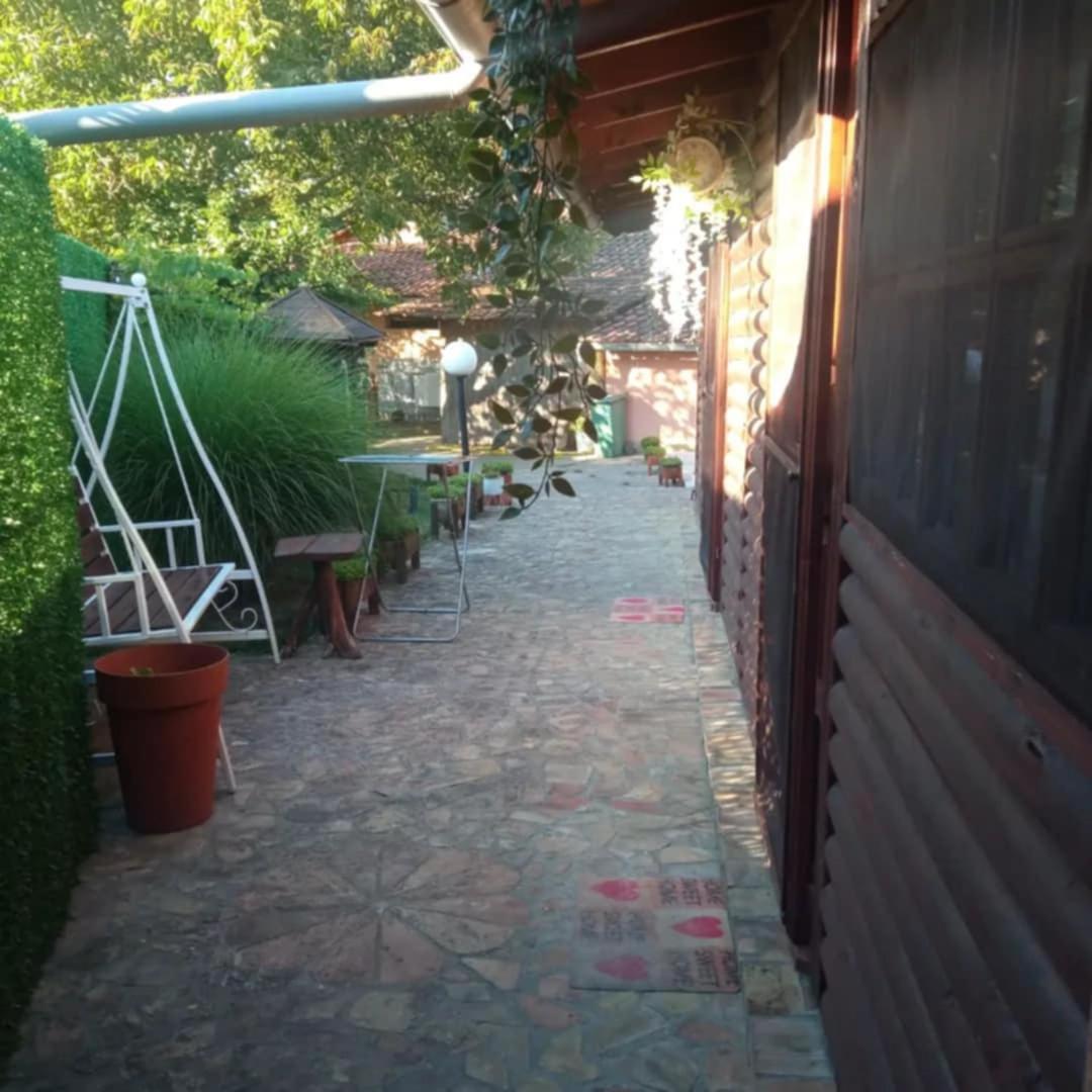 Villa Tera Nova Vrdnik Exterior foto