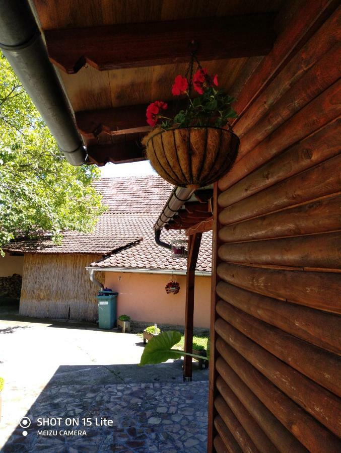 Villa Tera Nova Vrdnik Exterior foto